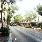 Road and Concrete Buildings